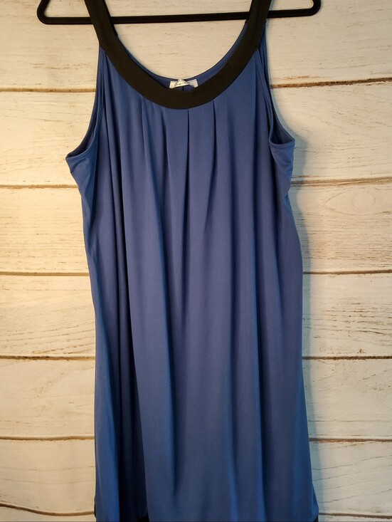 Ekouaer Other - Blue Sleep Gown with Black Trim